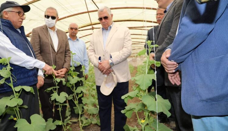 وزير الزراعة ومحافظ القليوبية يتفقدان صوب المشروع القومي لإنتاج التقاوي بمدينة قها.